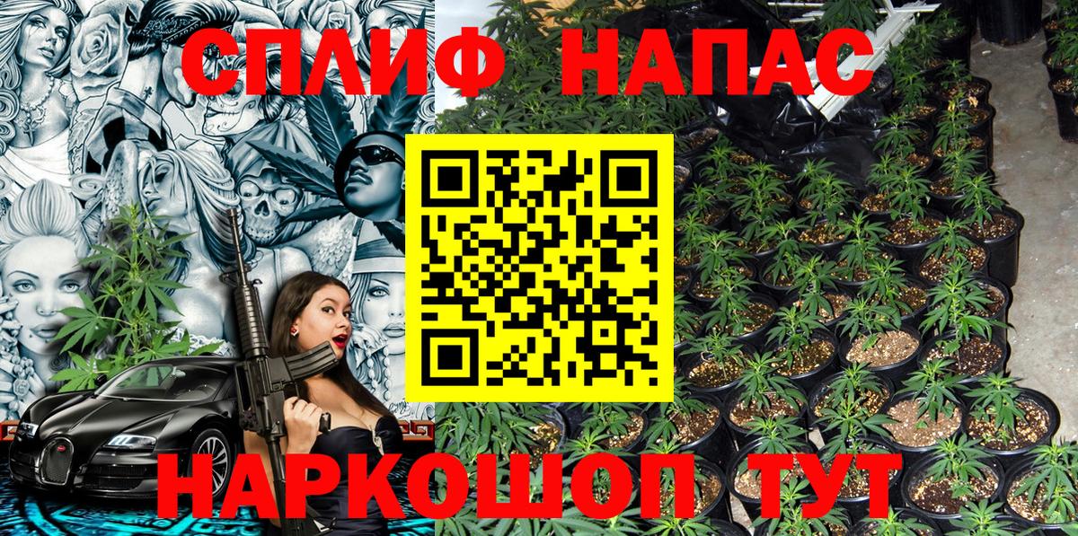 Бузулук  Бошки Шишки MAZAR  Вход с VPN  Бошки Шишки гибрид  Бошки Шишки план  Канабис Ganja 